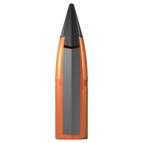 Winchester Extreme Point 7mm Remington Magnum 140 gr / 9.1 g — vue 2