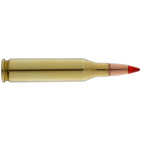 Winchester Extreme Point Copper Impact .243 Winchester 85 gr / 5.5 g — vue 2