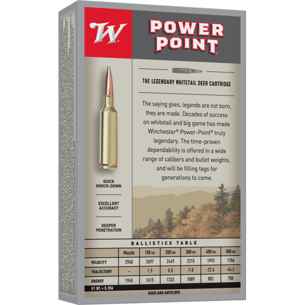 Winchester Power Point .243 Winchester 100 gr / 6.5 g — vue 3