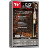 Winchester Extreme Point .30-06 Springfield