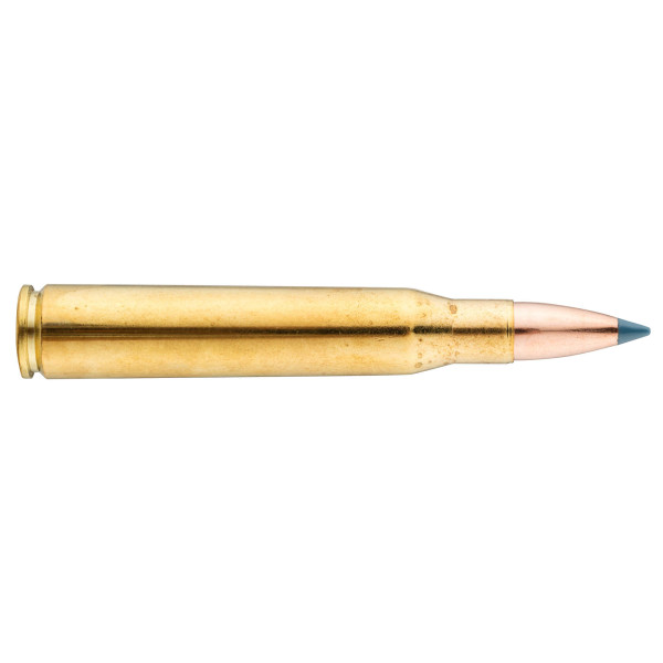 Sologne 8x68 S Nosler Ballistic Tip 180 gr / 11,7 g — vue 2