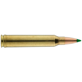 Sologne .300 Win. Mag. Nosler Ballistic Tip 150 gr / 9,7 g
