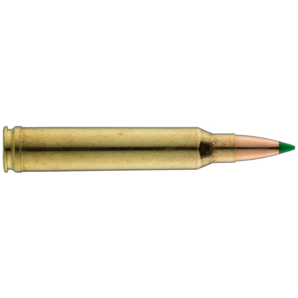 Sologne .300 Win. Mag. Nosler Ballistic Tip 150 gr / 9,7 g — vue 3