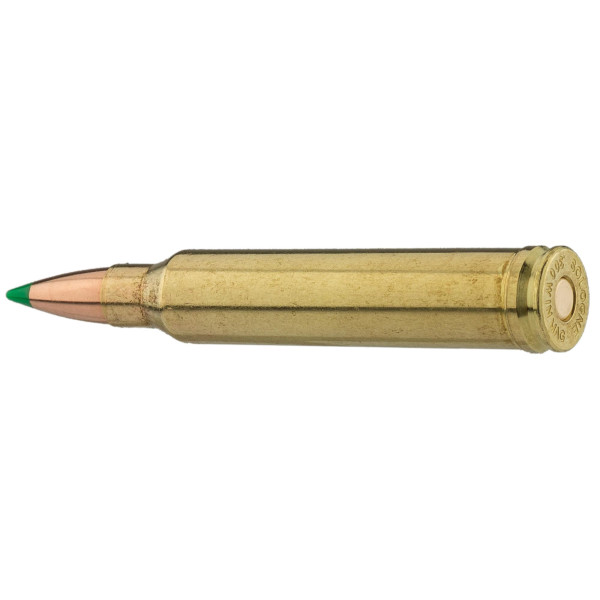 Sologne .300 Win. Mag. Nosler Ballistic Tip 150 gr / 9,7 g — vue 8