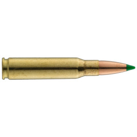 Sologne .308 Win Nosler Ballistic Tip 180 gr / 12 g — vue 2