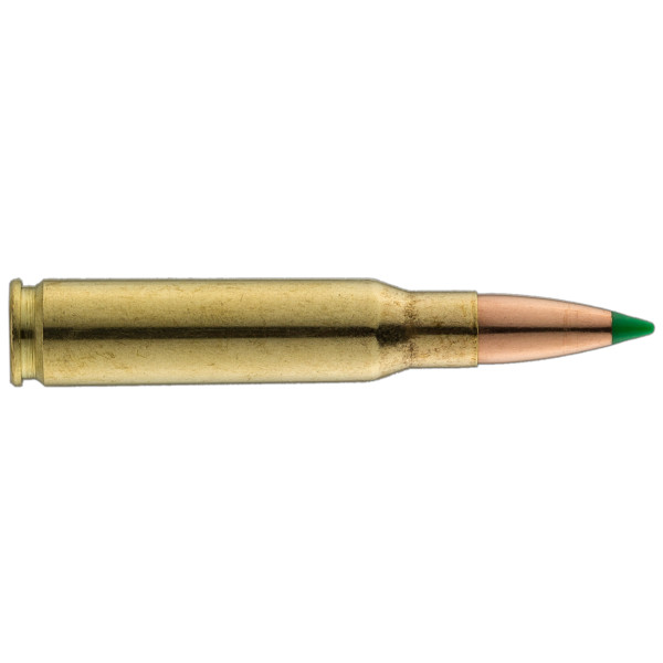Sologne .308 Win Nosler Ballistic Tip 180 gr / 12 g — vue 2