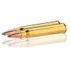 Sologne 30 R Blaser Nosler Partition 180 gr / 11,7 g — vue 2