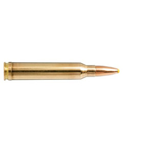 Norma .300 Win Mag Plastic Point 180 grains / 11,7 g