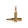 Norma .243 Winchester Whitetail 100 grains / 6,5 g — vue 2