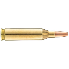 Norma .243 Winchester balle VerminXtreme 76gr / 4,9g — vue 2