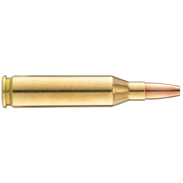 Norma .243 Winchester balle VerminXtreme 76gr / 4,9g — vue 2