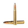 Norma 9,3x62 Whitetail 285 grains / 18,5 g — vue 2