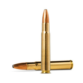Norma .35 Whelen Oryx 250 grains / 16,2 g — vue 2