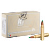 Sologne 30 R Blaser Nosler Ballistic Tip 180 gr / 11,7 g