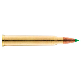 Sologne 30 R Blaser Nosler Ballistic Tip 180 gr / 11,7 g — vue 2