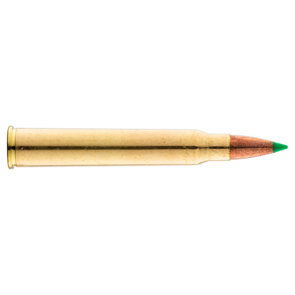 Sologne 30 R Blaser Nosler Ballistic Tip 180 gr / 11,7 g — vue 2