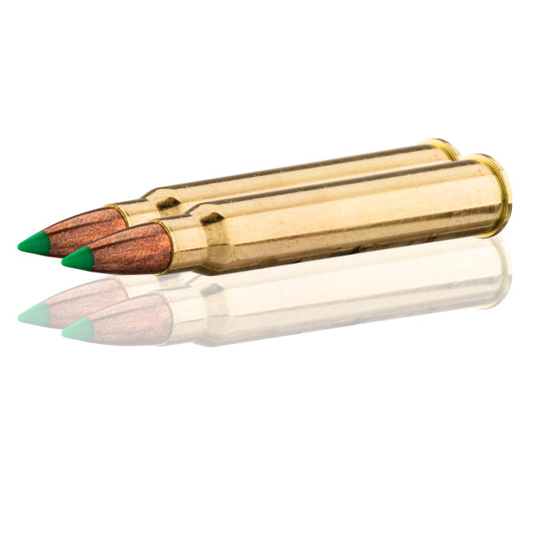 Sologne 30 R Blaser Nosler Ballistic Tip 180 gr / 11,7 g — vue 3