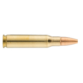 Winchester Subsonic HP .308 Win 185 gr / 12 g