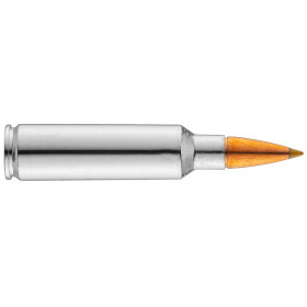 Browning .300 WSM BXS 180 grains / 11,7 g — vue 2