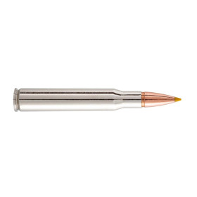 Browning .300 Win. Mag BXS 180 grains / 11,7 g — vue 2