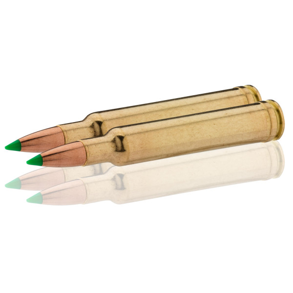 Sologne .300 Weatherby Magnum Nosler Ballistic Tip 180 gr / 12 g — vue 2