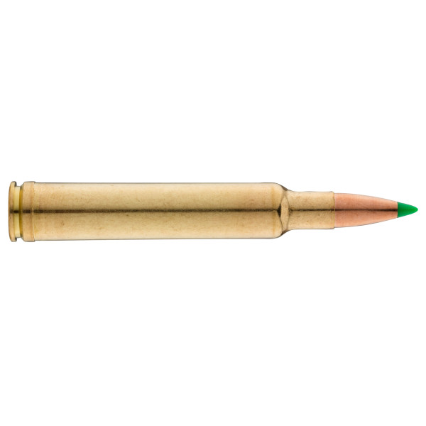 Sologne .300 Weatherby Magnum Nosler Ballistic Tip 180 gr / 12 g — vue 3