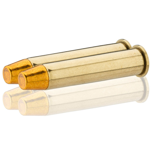 Sologne .45-70 Govt H&N TFN 300 gr / 19,4 g — vue 7