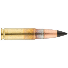 Winchester Deer Season XP .300 BLK 150 gr / 9.7 g
