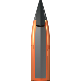 Winchester Deer Season XP .300 BLK 150 gr / 9.7 g — vue 2