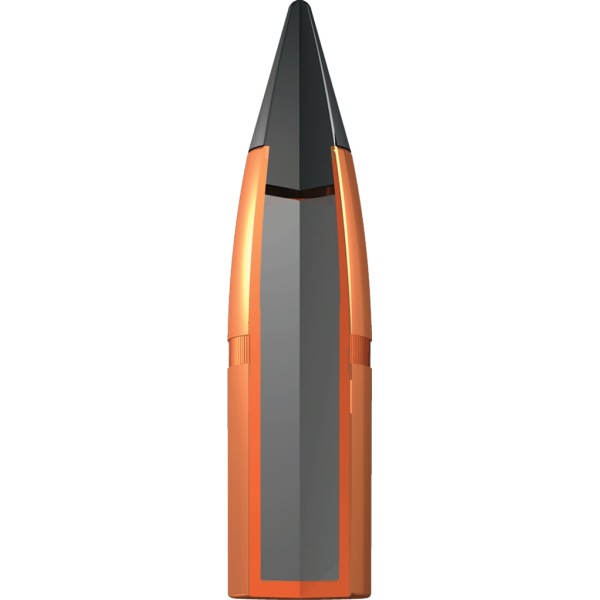 Winchester Deer Season XP .300 BLK 150 gr / 9.7 g — vue 2