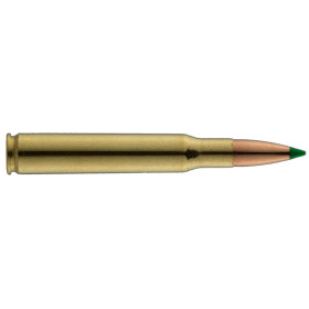 Sologne .30-06 Spring. Ballistic Tip 180 gr / 11,7 g