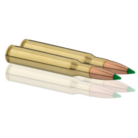 Sologne .30-06 Spring. Ballistic Tip 180 gr / 11,7 g — vue 2