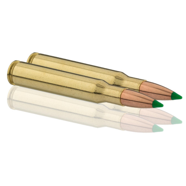 Sologne .30-06 Spring. Ballistic Tip 180 gr / 11,7 g — vue 2