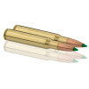 Sologne .30-06 Spring. Ballistic Tip 180 gr / 11,7 g — vue 2