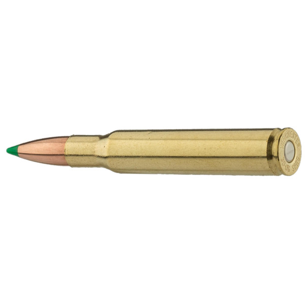 Sologne .30-06 Spring. Ballistic Tip 180 gr / 11,7 g — vue 4