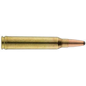 Sologne .300 Win. Mag. Nosler Partition