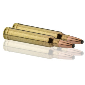 Sologne .300 Win. Mag. Nosler Partition — vue 2