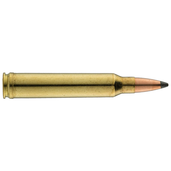Sologne .300 Win. Mag. Nosler Partition — vue 3