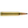 Sologne .300 Win. Mag. Nosler Partition — vue 3
