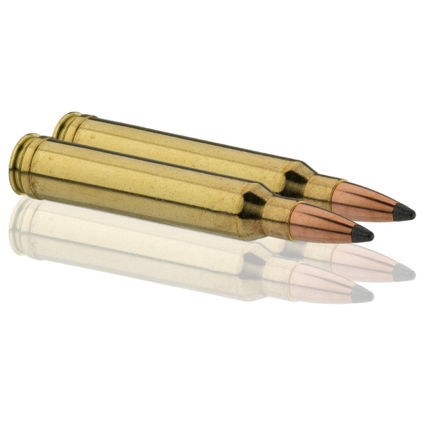 Sologne .300 Win. Mag. Nosler Partition — vue 4