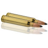 Sologne .300 Win. Mag. Nosler Partition — vue 4