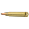 Sologne .300 Win. Mag. Nosler Partition — vue 14