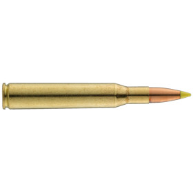 Sologne .270 Win Nosler Ballistic Tip 130 gr / 8,4 g