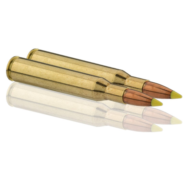 Sologne .270 Win Nosler Ballistic Tip 130 gr / 8,4 g — vue 4