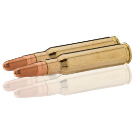 Sologne .308 Winchester GPA 180 gr / 11,7 g — vue 2