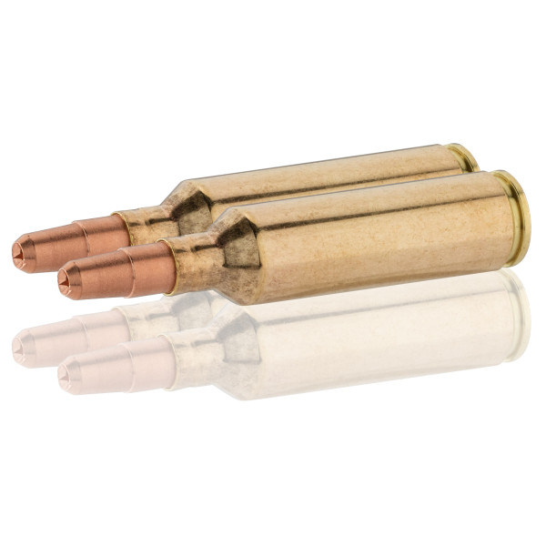 Sologne .270 WSM GPA 143 gr / 9,3 g — vue 5