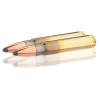 Sologne 9,3x62 Nosler Partition 285 gr / 18,5 g — vue 2