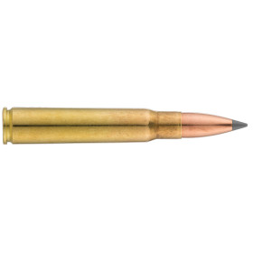 Sologne 8x57 JS Nosler Ballistic Tip 180 gr / 11,7 g — vue 2