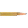 Sologne 8x57 JS Nosler Ballistic Tip 180 gr / 11,7 g — vue 2