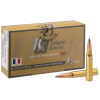 Sologne 8x57 JS Nosler Ballistic Tip 180 gr / 11,7 g — vue 4